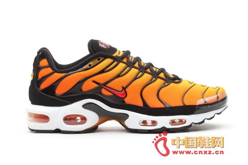 Nike Air Max Plus 2013괺ļЬ